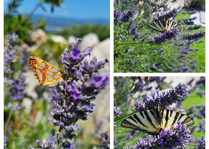 Casa de Férias House Erika